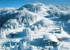 Winterlandschaft in den Salzburger Alpen mit schneebedeckten Bäumen und Skipisten.