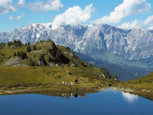 Blick auf die Salzburger Alpen mit Wiesen, Kühen und einem ruhigen Waldsee. Ideal für Outdoor-Aktivitäten.